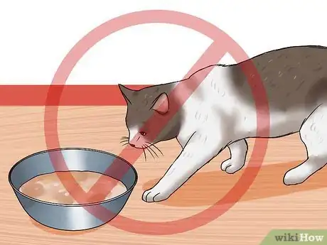 Imagen titulada Encourage Your Cat to Go to Sleep Step 5