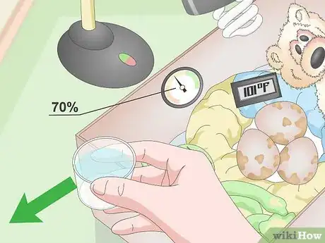 Imagen titulada Create an Egg Incubator for Wild Bird Eggs Step 11