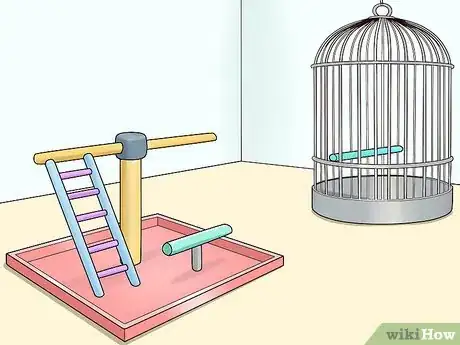 Imagen titulada Know if a Caique Parrot Is Right for You Step 7