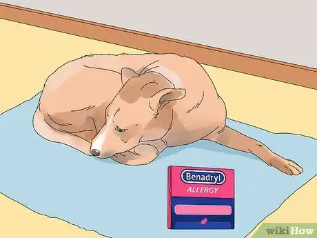 Imagen titulada Give a Dog Benadryl Step 6