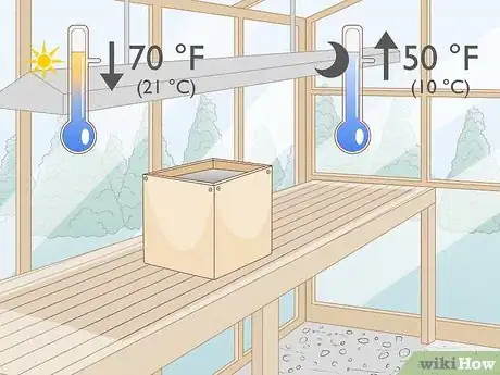 Imagen titulada Grow Portobello Mushrooms Step 6