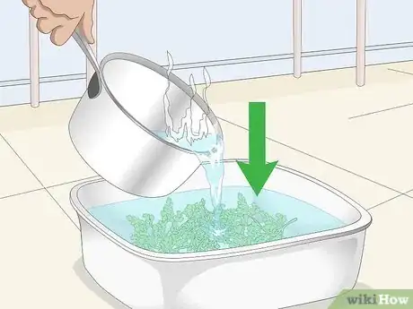 Imagen titulada Clean Aquarium Plants Step 8