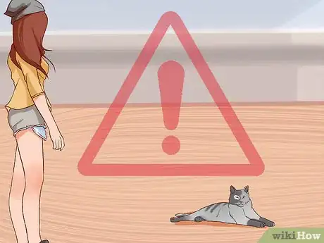 Imagen titulada Prevent Cat Allergies Step 6
