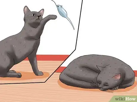 Imagen titulada Encourage Your Cat to Go to Sleep Step 2