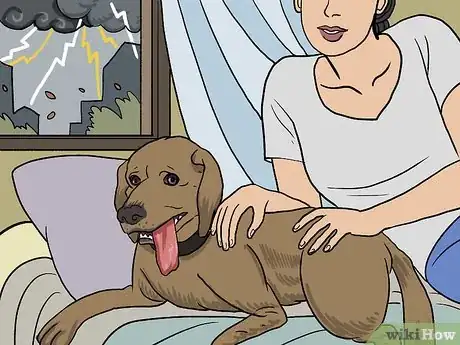 Imagen titulada Treat a Panting Dog Step 4