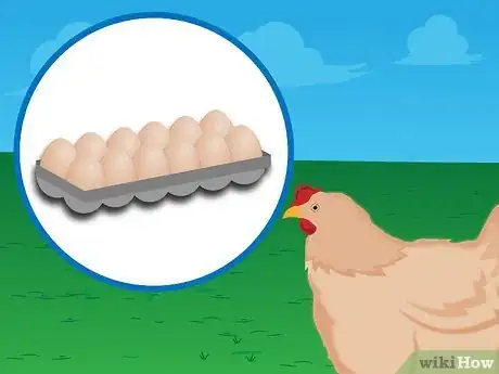 Imagen titulada Raise Baby Chickens Step 17