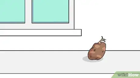 Imagen titulada Grow Potatoes Step 4