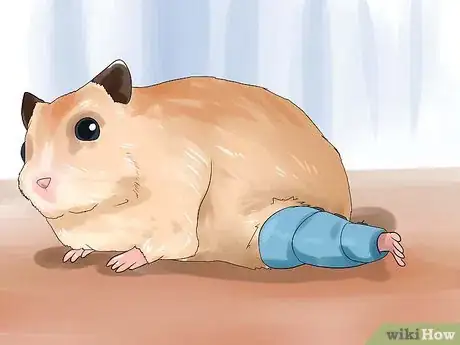 Imagen titulada Treat Your Sick Hamster Step 8