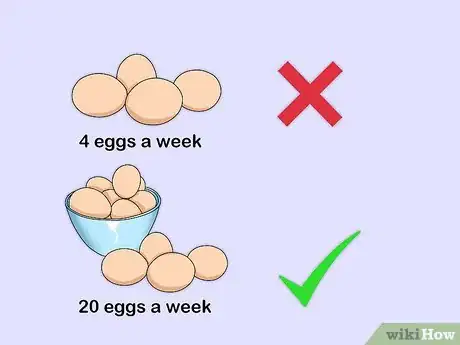 Imagen titulada Sell Chicken Eggs Step 2