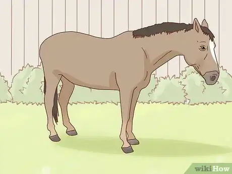 Imagen titulada Measure the Height of Horses Step 2