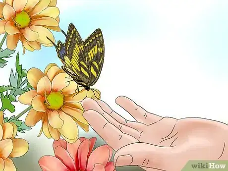 Imagen titulada Easily Catch a Butterfly with Your Hand Step 2