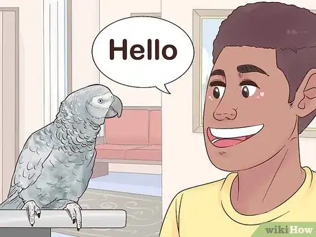 Imagen titulada Encourage an African Grey Parrot to Speak Step 3