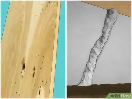 Imagen titulada Get Rid of Termites Step 1