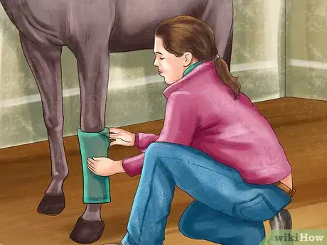 Imagen titulada Know if You Have What It Takes to Own a Horse Step 10