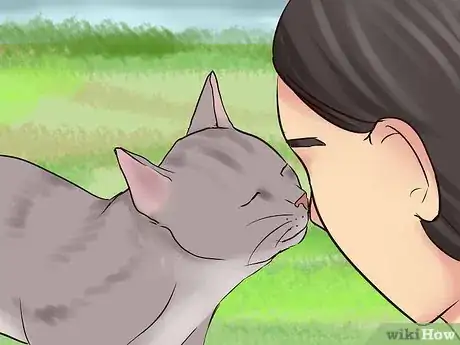 Imagen titulada Get Your Cat to Know and Love You Step 15