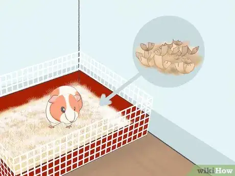 Imagen titulada Reduce Guinea Pig Allergy Step 13