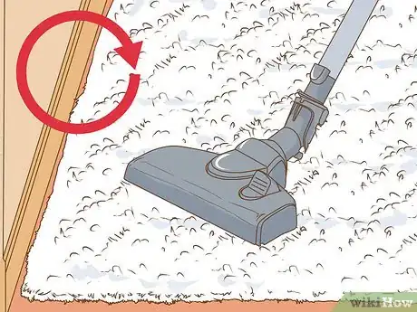 Imagen titulada Clean a White Rug Step 1