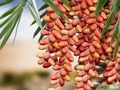 Imagen titulada Harvest Dates Step 1