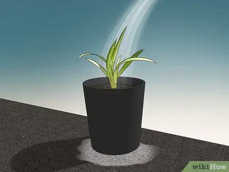 Imagen titulada Prune a Spider Plant Step 9