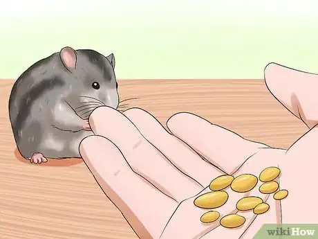 Imagen titulada Handle a Hamster Without Being Bitten Step 3