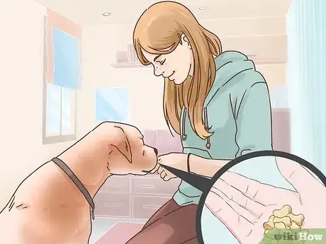 Imagen titulada Make an Outdoor Dog an Indoor Dog As It Ages Step 2