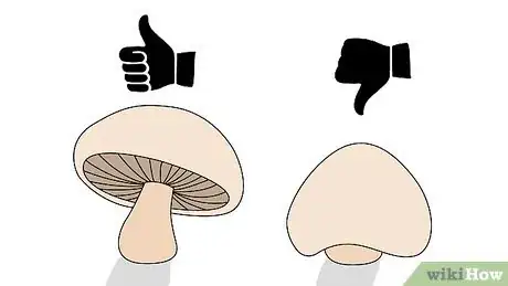 Imagen titulada Pick Mushrooms Step 2