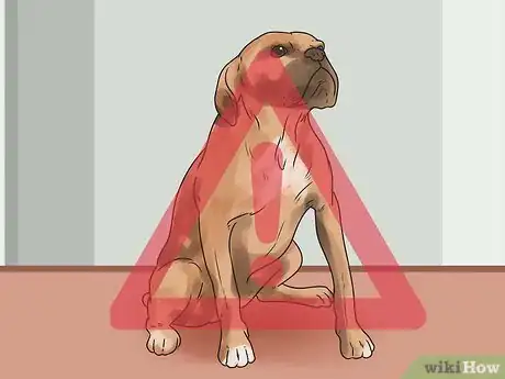 Imagen titulada Stop a Boxer Dog from Biting Step 13