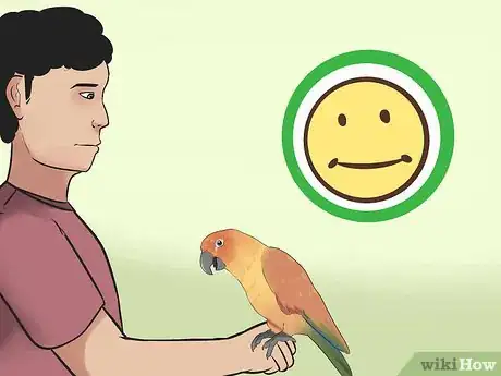 Imagen titulada Teach a Conure to Talk Step 12