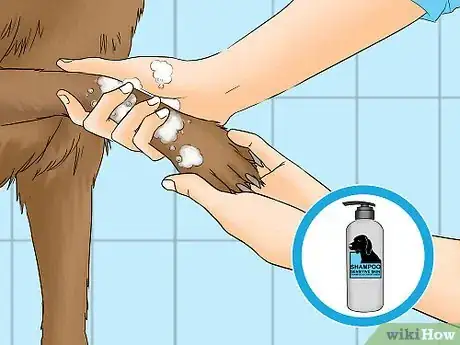 Imagen titulada Remove Chewing Gum from a Dog's Hair Step 15