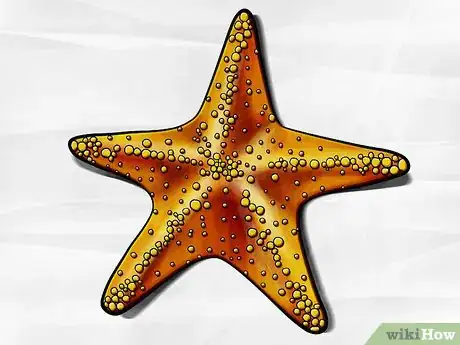 Imagen titulada Draw a Starfish Step 6