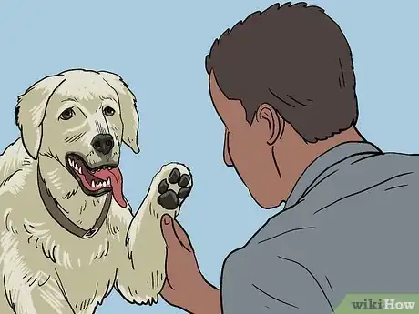 Imagen titulada Treat a Panting Dog Step 8