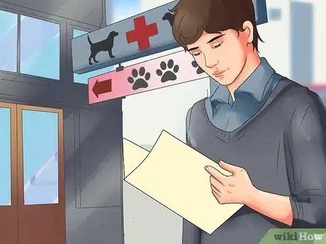 Imagen titulada Give a Dog a Rabies Shot at Home Step 1