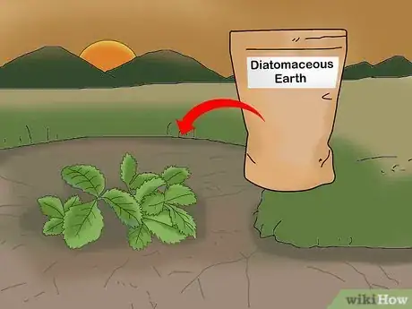 Imagen titulada Apply Diatomaceous Earth Outdoors Step 3