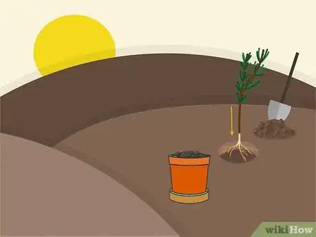 Imagen titulada Grow Cuttings from Established Plants Step 12