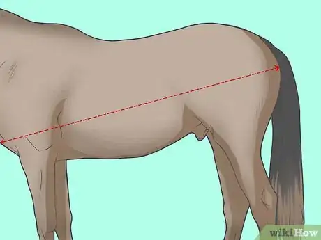 Imagen titulada Measure a Saddle Step 13