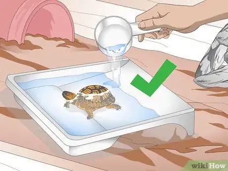 Imagen titulada Create an Indoor Box Turtle Habitat Step 16