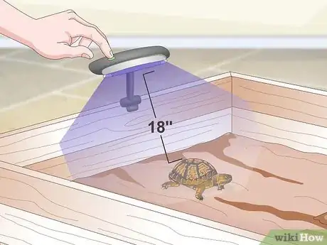 Imagen titulada Create an Indoor Box Turtle Habitat Step 12