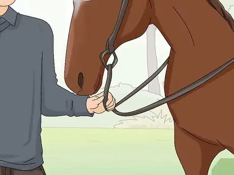 Imagen titulada Teach Your Horse to Stop Biting Step 9