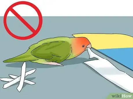 Imagen titulada Determine the Sex of a Lovebird Step 5