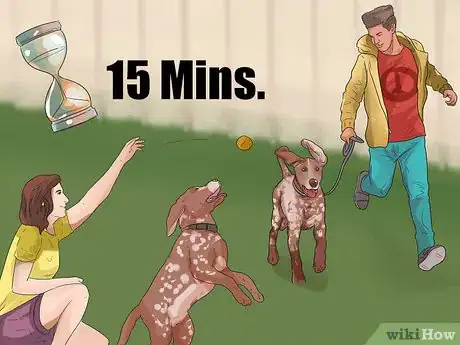 Imagen titulada Train German Shorthaired Pointers Step 11