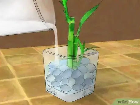 Imagen titulada Grow Lucky Bamboo Step 6