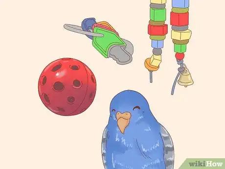 Imagen titulada Stop Feather Plucking in Parakeets Step 11