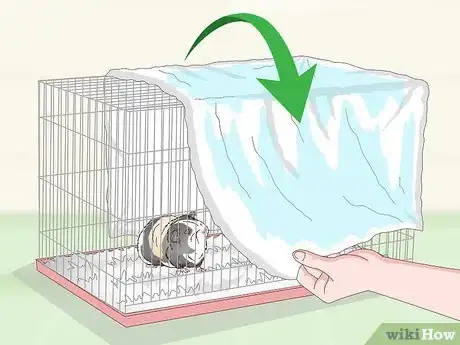 Imagen titulada Keep Your Guinea Pig Cool in Hot Weather Step 13