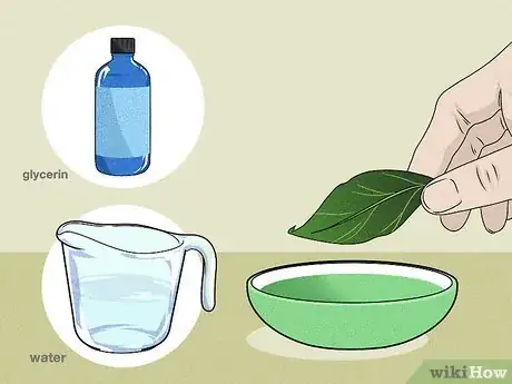 Imagen titulada Dry Leaves Step 6