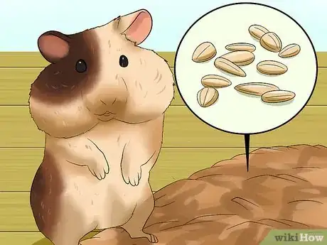 Imagen titulada Tell if a Dwarf Hamster Is Obese Step 12