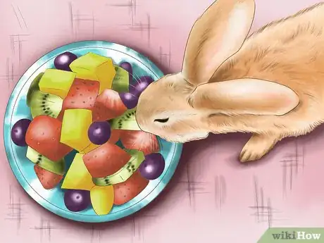 Imagen titulada Raise a Healthy Bunny Step 4