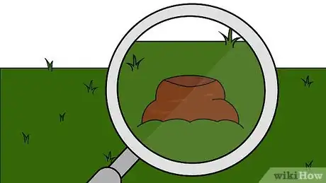 Imagen titulada Get Rid of Moles in Your Garden Step 1