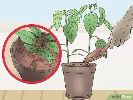 Imagen titulada Take Care of Plants Step 3