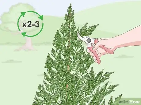 Imagen titulada Prune a Leyland Cypress Step 7