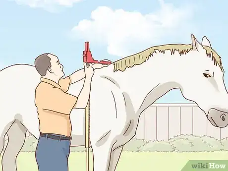 Imagen titulada Measure the Height of Horses Step 6